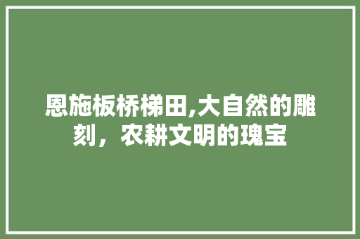 恩施板桥梯田,大自然的雕刻，农耕文明的瑰宝