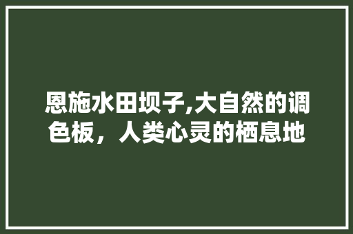 恩施水田坝子,大自然的调色板，人类心灵的栖息地