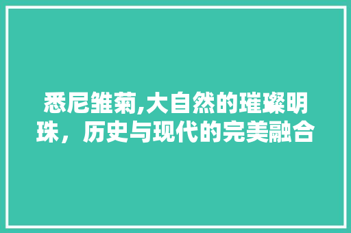 悉尼雏菊,大自然的璀璨明珠，历史与现代的完美融合