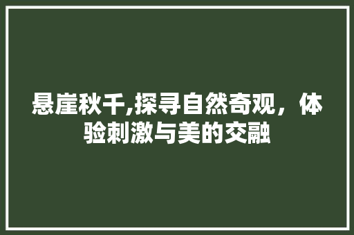 悬崖秋千,探寻自然奇观，体验刺激与美的交融