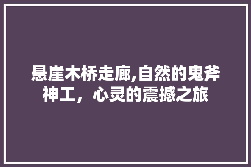 悬崖木桥走廊,自然的鬼斧神工，心灵的震撼之旅