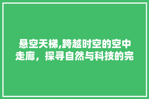 悬空天梯,跨越时空的空中走廊，探寻自然与科技的完美融合