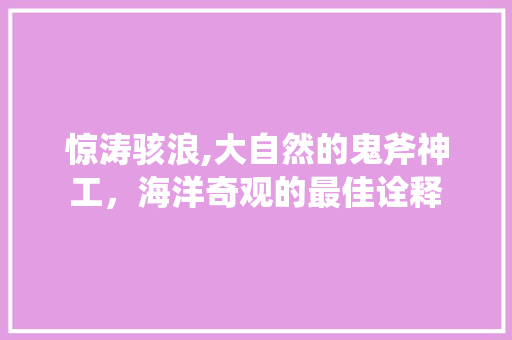 惊涛骇浪,大自然的鬼斧神工，海洋奇观的最佳诠释