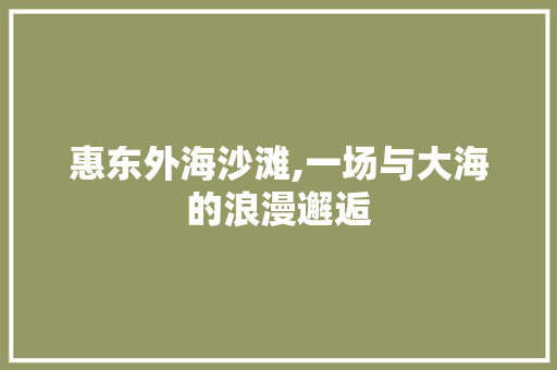 惠东外海沙滩,一场与大海的浪漫邂逅