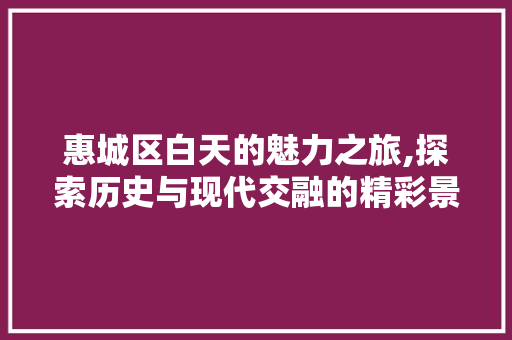 惠城区白天的魅力之旅,探索历史与现代交融的精彩景点