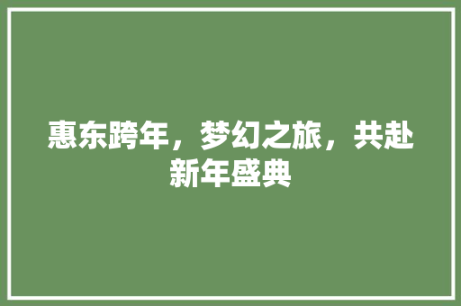 惠东跨年，梦幻之旅，共赴新年盛典