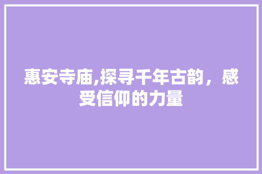 惠安寺庙,探寻千年古韵，感受信仰的力量