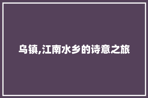 乌镇,江南水乡的诗意之旅  第1张