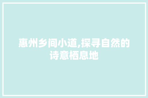 惠州乡间小道,探寻自然的诗意栖息地