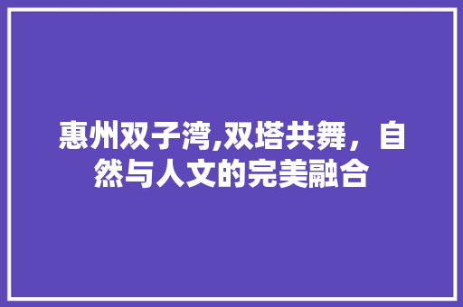 惠州双子湾,双塔共舞，自然与人文的完美融合