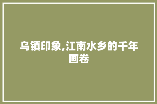 乌镇印象,江南水乡的千年画卷  第1张