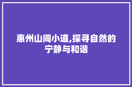 惠州山间小道,探寻自然的宁静与和谐