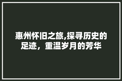 惠州怀旧之旅,探寻历史的足迹，重温岁月的芳华