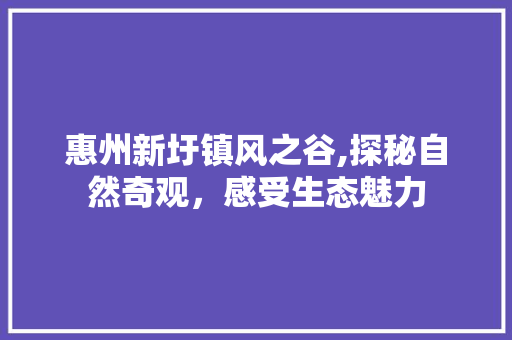 惠州新圩镇风之谷,探秘自然奇观，感受生态魅力