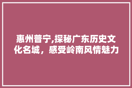 惠州普宁,探秘广东历史文化名城，感受岭南风情魅力