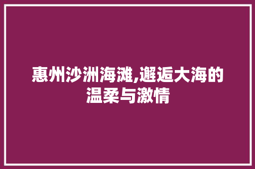 惠州沙洲海滩,邂逅大海的温柔与激情