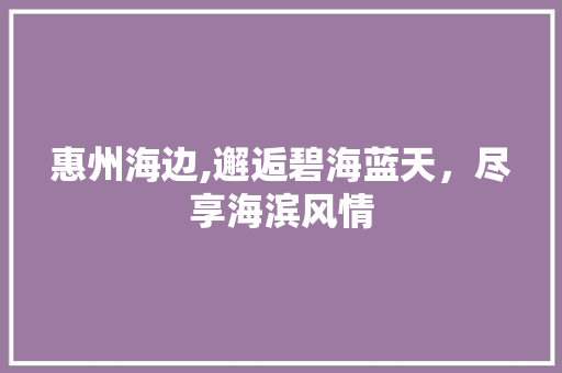 惠州海边,邂逅碧海蓝天，尽享海滨风情