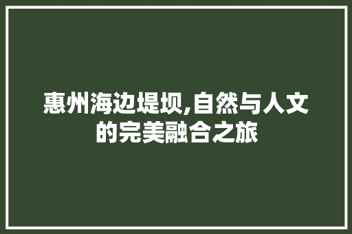 惠州海边堤坝,自然与人文的完美融合之旅