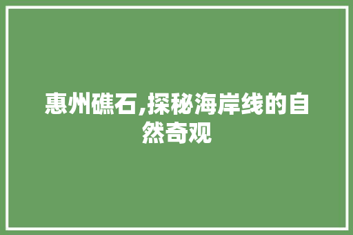 惠州礁石,探秘海岸线的自然奇观