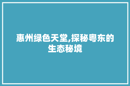 惠州绿色天堂,探秘粤东的生态秘境