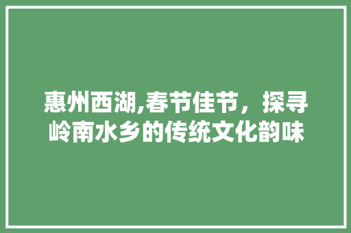 惠州西湖,春节佳节，探寻岭南水乡的传统文化韵味