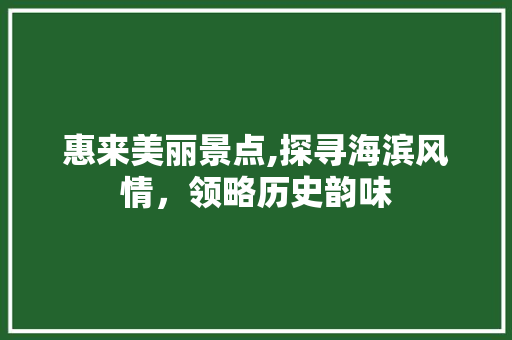 惠来美丽景点,探寻海滨风情，领略历史韵味