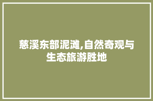 慈溪东部泥滩,自然奇观与生态旅游胜地