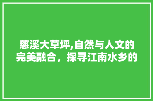 慈溪大草坪,自然与人文的完美融合，探寻江南水乡的绿色秘境