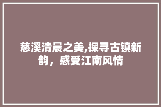 慈溪清晨之美,探寻古镇新韵，感受江南风情