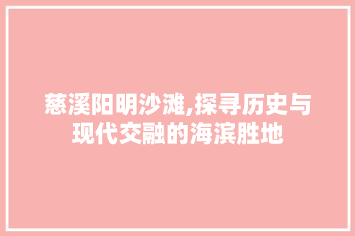 慈溪阳明沙滩,探寻历史与现代交融的海滨胜地