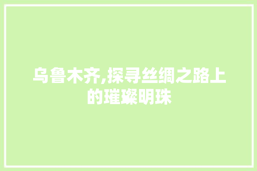 乌鲁木齐,探寻丝绸之路上的璀璨明珠  第1张