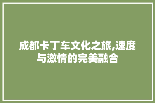 成都卡丁车文化之旅,速度与激情的完美融合