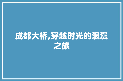 成都大桥,穿越时光的浪漫之旅