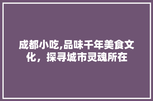 成都小吃,品味千年美食文化，探寻城市灵魂所在