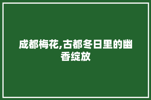 成都梅花,古都冬日里的幽香绽放