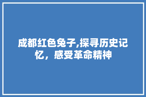 成都红色兔子,探寻历史记忆，感受革命精神