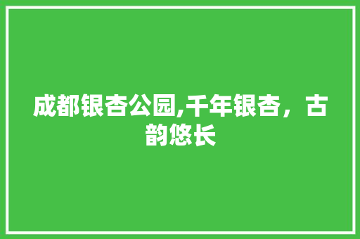 成都银杏公园,千年银杏，古韵悠长