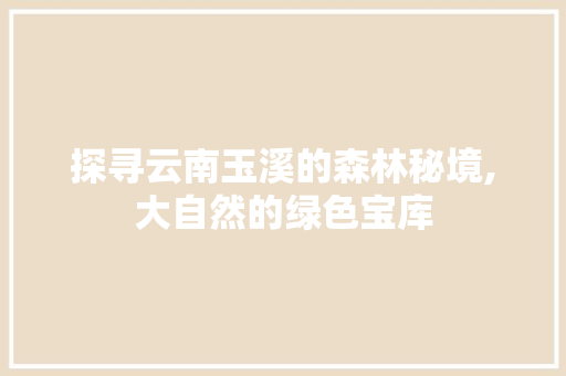 探寻云南玉溪的森林秘境,大自然的绿色宝库