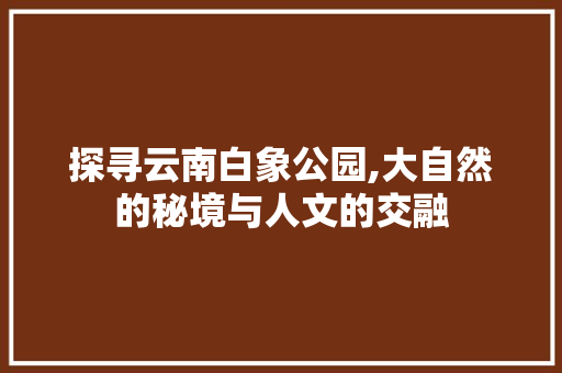 探寻云南白象公园,大自然的秘境与人文的交融