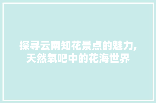 探寻云南知花景点的魅力,天然氧吧中的花海世界