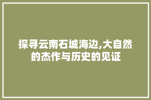 探寻云南石城海边,大自然的杰作与历史的见证