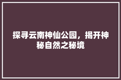 探寻云南神仙公园，揭开神秘自然之秘境