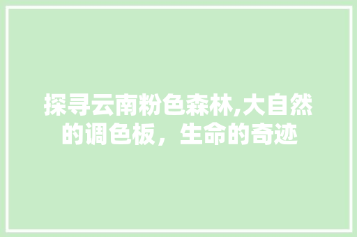 探寻云南粉色森林,大自然的调色板，生命的奇迹