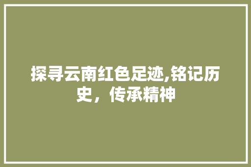 探寻云南红色足迹,铭记历史，传承精神