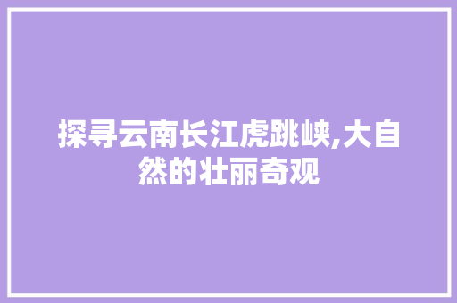 探寻云南长江虎跳峡,大自然的壮丽奇观