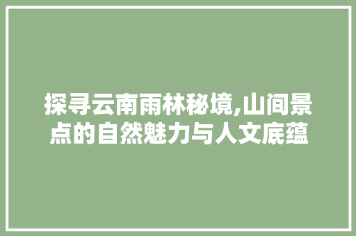 探寻云南雨林秘境,山间景点的自然魅力与人文底蕴