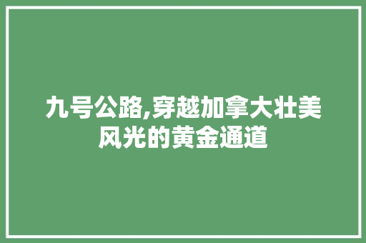 九号公路,穿越加拿大壮美风光的黄金通道