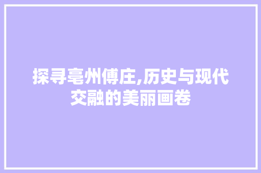 探寻亳州傅庄,历史与现代交融的美丽画卷