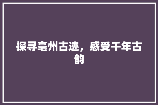 探寻亳州古迹，感受千年古韵