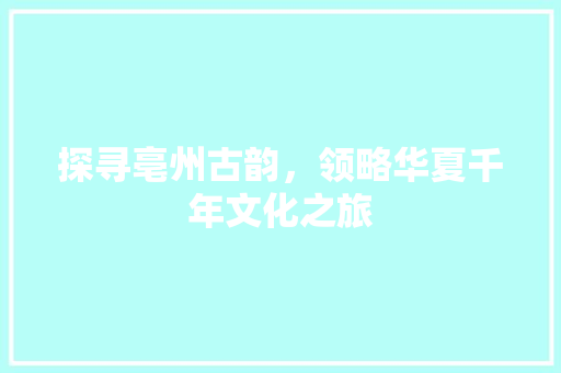 探寻亳州古韵，领略华夏千年文化之旅